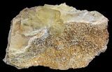Yellow Barite Crystal Cluster - Peru #64129-4